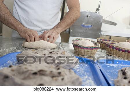 Picture - Hispanic baker working in commercial kitchen. Fotosearch