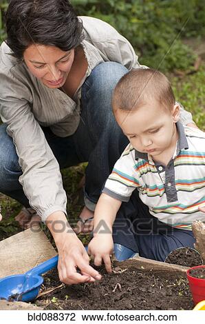 Hispanic mother gardening with son View Large Photo Image Stock Image - Hispanic mother gardening with son. Fotosearch