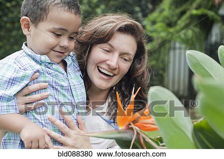 Stock Image - Hispanic mother showing flower to son. Fotosearch