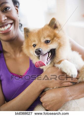 Mixed race woman holding Pomeranian dog View Large Photo Image Stock Photo - Mixed race woman holding Pomeranian dog. Fotosearch