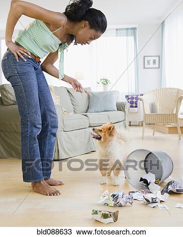 Stock Image - Mixed race woman scolding Pomeranian dog next to garbage. Fotosearch