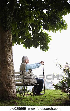 Senior man sitting on park bench View Large Photo Image Stock Photo - Senior man sitting on park bench. Fotosearch