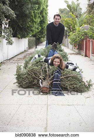 Caucasian couple dragging Christmas tree in alley View Large Photo Image Stock Photo - Caucasian couple dragging Christmas tree in alley. Fotosearch