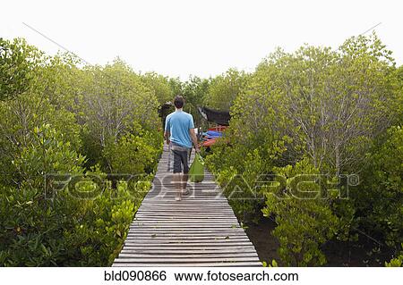 Stock Photograph - Caucasian man walking on wooden boardwalk. Fotosearch