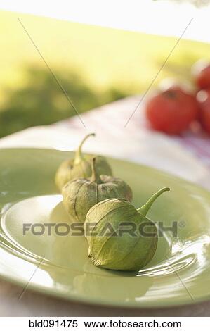 Stock Photography - Close up of pod on plate. Fotosearch