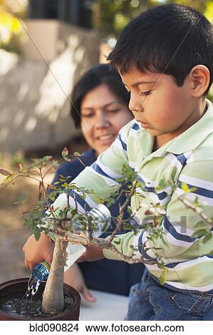 Picture - Hispanic mother and son gardening together. Fotosearch