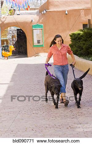 Stock Image - Hispanic woman walking dogs in town. Fotosearch
