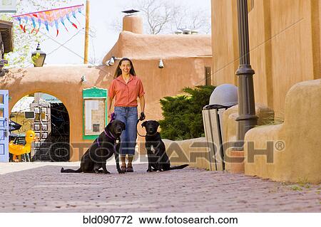Stock Image - Hispanic woman walking dogs in town. Fotosearch