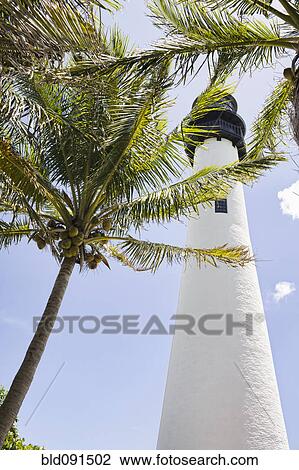Stock Image - Lighthouse and tropical palm trees. Fotosearch