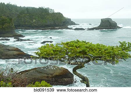 Stock Photo - Ocean and rocky shore of remote area. Fotosearch