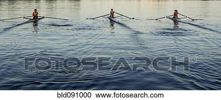 People rowing sculling boats on river View Large Photo Image Stock Image - People rowing sculling boats on river. Fotosearch