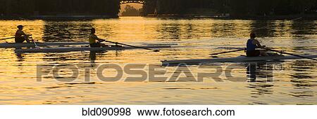 People rowing sculling boats on river View Large Photo Image Stock Photo - People rowing sculling boats on river. Fotosearch