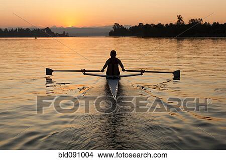Picture - Person rowing sculling boat on river. Fotosearch