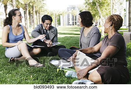 Adult students studying together in park View Large Photo Image Stock Image - Adult students studying together in park. Fotosearch
