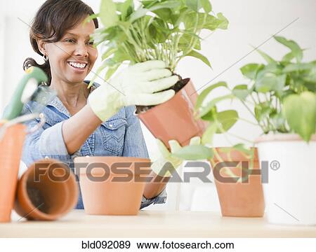Stock Photo - Black woman potting plants. Fotosearch