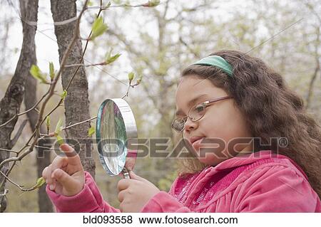 Hispanic girl looking at leaf with magnifying glass View Large Photo Image Stock Photo - Hispanic girl looking at leaf with magnifying glass. Fotosearch