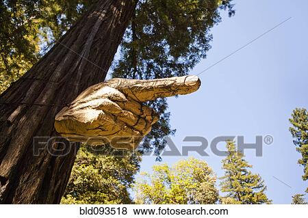 Stock Photo - Tree branch carved into pointing hand. Fotosearch