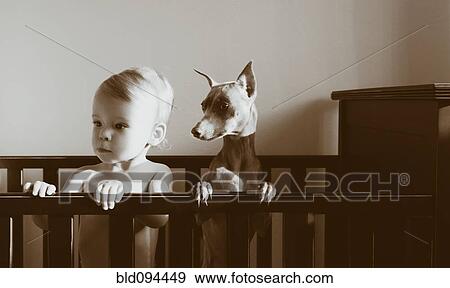 Stock Photo - Caucasian boy standing in crib with puppy. Fotosearch