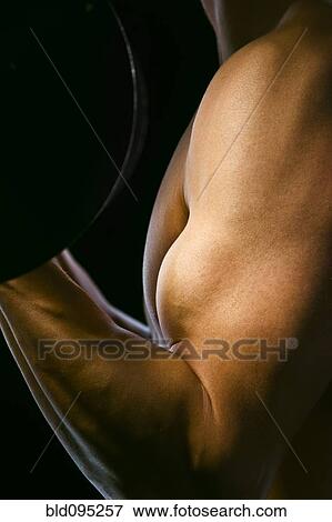 Caucasian man exercising with barbells View Large Photo Image Stock Photo - Caucasian man exercising with barbells. Fotosearch