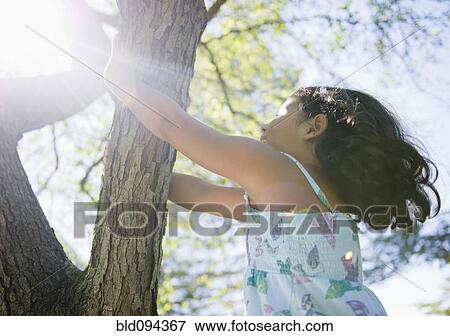 Stock Photo - Hispanic girl climbing tree. Fotosearch