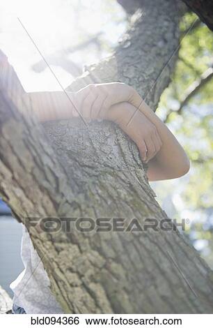 Hispanic girl climbing tree View Large Photo Image Stock Photograph - Hispanic girl climbing tree. Fotosearch