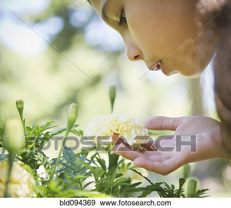 Stock Photo - Hispanic girl smelling flower. Fotosearch