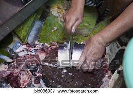 Stock Photo - Person cutting raw fish. Fotosearch