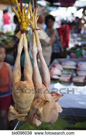 Stock Photo - Raw chickens hanging in market. Fotosearch