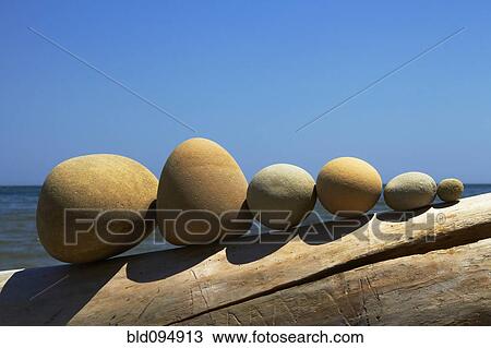 Stock Image - Stones lined up on driftwood. Fotosearch