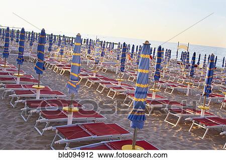 Umbrellas and beach chairs in a row on beach View Large Photo Image Stock Image - Umbrellas and beach chairs in a row on beach. Fotosearch