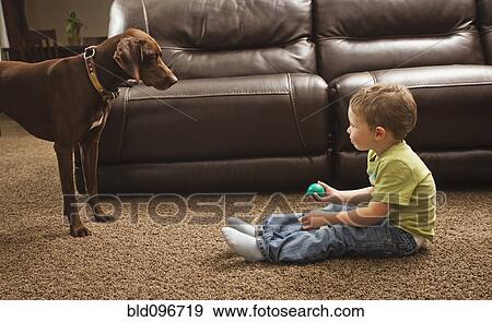 Caucasian boy playing ball with dog View Large Photo Image Stock Photo - Caucasian boy playing ball with dog. Fotosearch