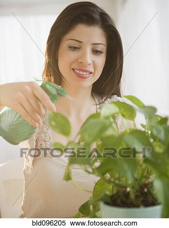 Stock Photography - Mixed race woman watering plant. Fotosearch