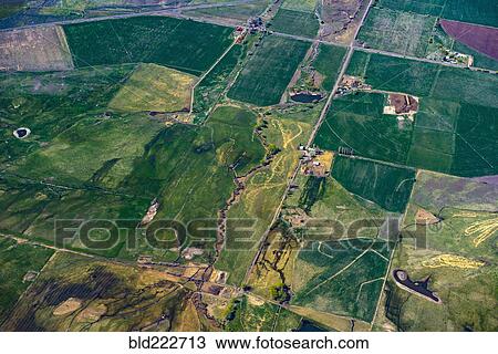 Stock Image - "Aerial view of green farmland plots, Cedarville, California, United States, ". Fotosearch
