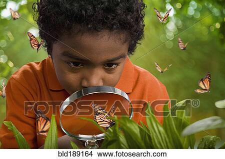 Picture - African boy looking at butterflies with magnifying glass. Fotosearch