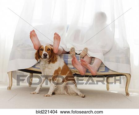 Picture - Bare feet of family behind curtain with dog. Fotosearch