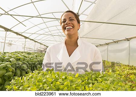 Black chef standing in greenhouse holding tray of plants View Large Photo Image Stock Image - Black chef standing in greenhouse holding tray of plants. Fotosearch