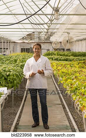 Black chef standing in greenhouse View Large Photo Image Stock Photo - Black chef standing in greenhouse. Fotosearch