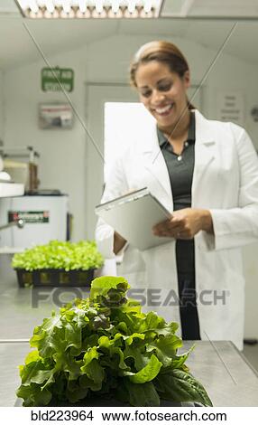 Black scientist writing on clipboard near trays of green plants View Large Photo Image Picture - Black scientist writing on clipboard near trays of green plants. Fotosearch