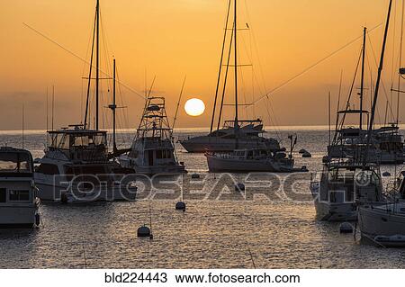 Stock Image - Boats moored at sunset. Fotosearch