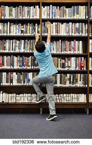 Boy reaching for book on library shelf View Large Photo Image Stock Photograph - Boy reaching for book on library shelf. Fotosearch