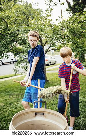 Caucasian brothers raking leaves in front lawn View Large Photo Image Stock Photography - Caucasian brothers raking leaves in front lawn. Fotosearch