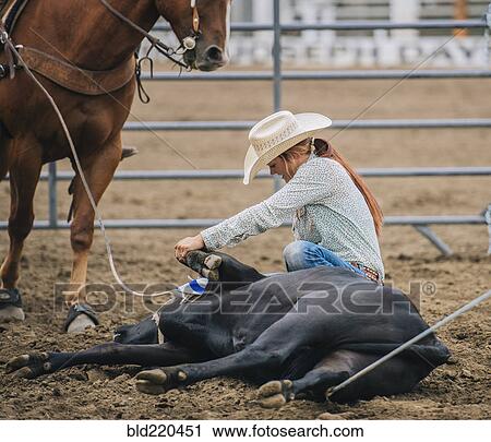 Stock Image - Caucasian cowgirl tying cattle in rodeo. Fotosearch