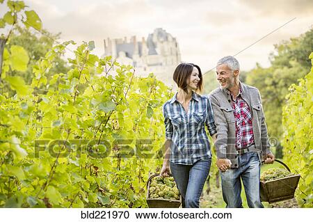 Stock Image - Caucasian farmers carrying grapes in vineyard. Fotosearch