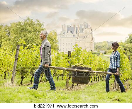 Stock Image - Caucasian farmers carrying grapes in vineyard. Fotosearch