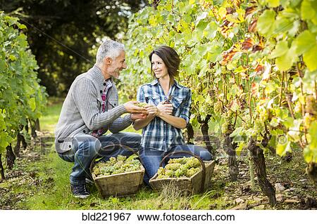 Stock Photo - Caucasian farmers holding grapes in vineyard. Fotosearch