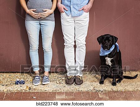Caucasian man and expectant mother with dog and baby shoes View Large Photo Image Stock Photo - Caucasian man and expectant mother with dog and baby shoes. Fotosearch