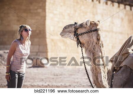 Stock Photograph - Caucasian woman admiring camel. Fotosearch