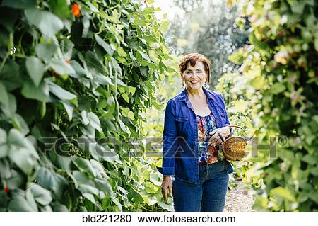 Caucasian woman picking vegetables in garden View Large Photo Image Stock Image - Caucasian woman picking vegetables in garden. Fotosearch
