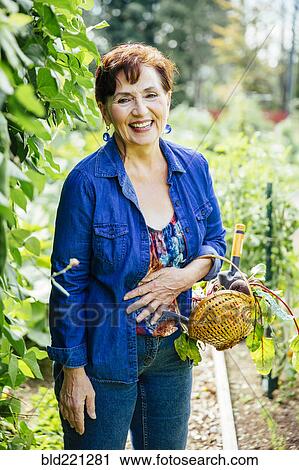 Stock Image - Caucasian woman picking vegetables in garden. Fotosearch
