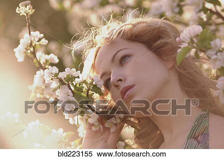 Stock Photography - Caucasian woman standing in flowering tree. Fotosearch